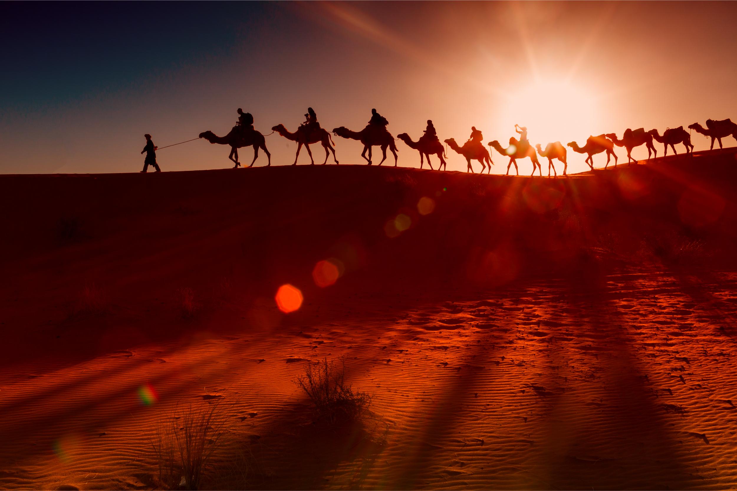 Sunset Camel Trek & Erg Chebbi Discovery