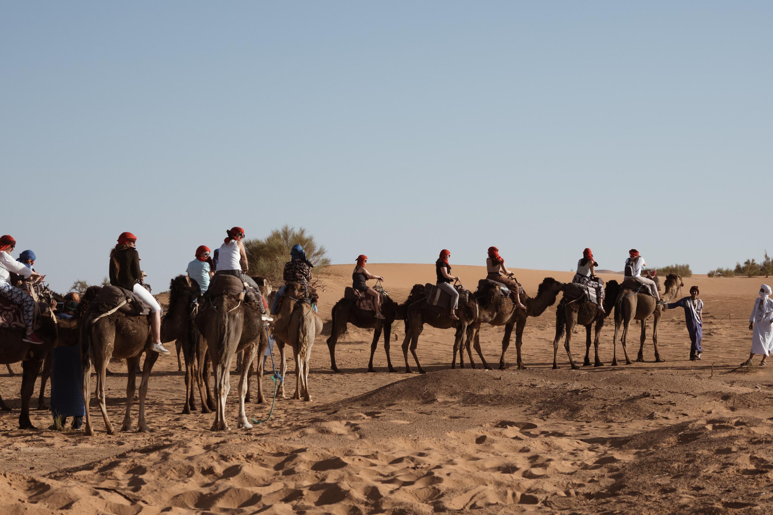 Sunset Camel Trek & Erg Chebbi Discovery 8